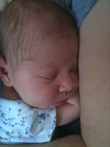 20110619-114743.jpg