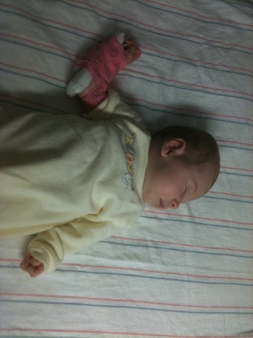 20110706-094213.jpg